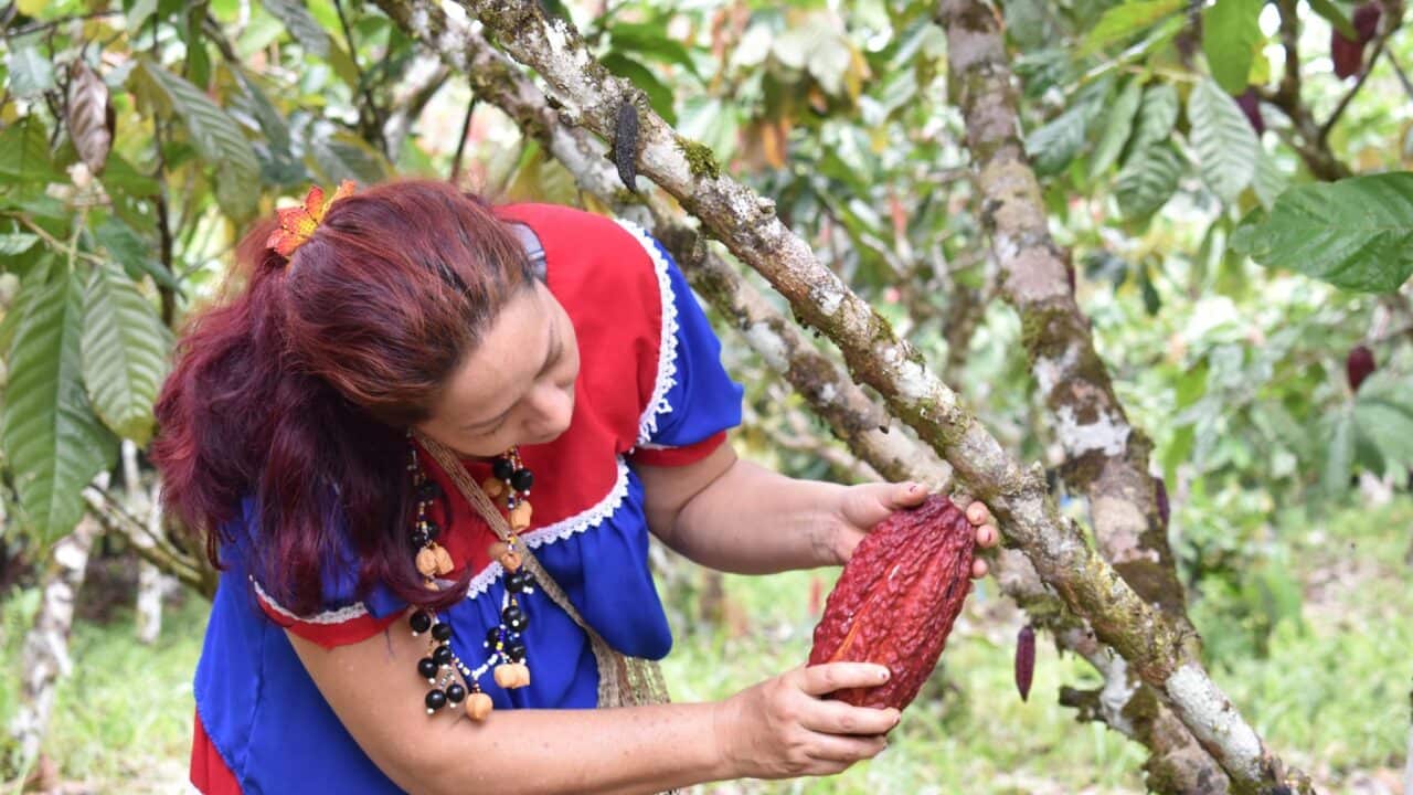 Progetto Colores, comunita' resilienti, Coopermondo (Colombia).jpg