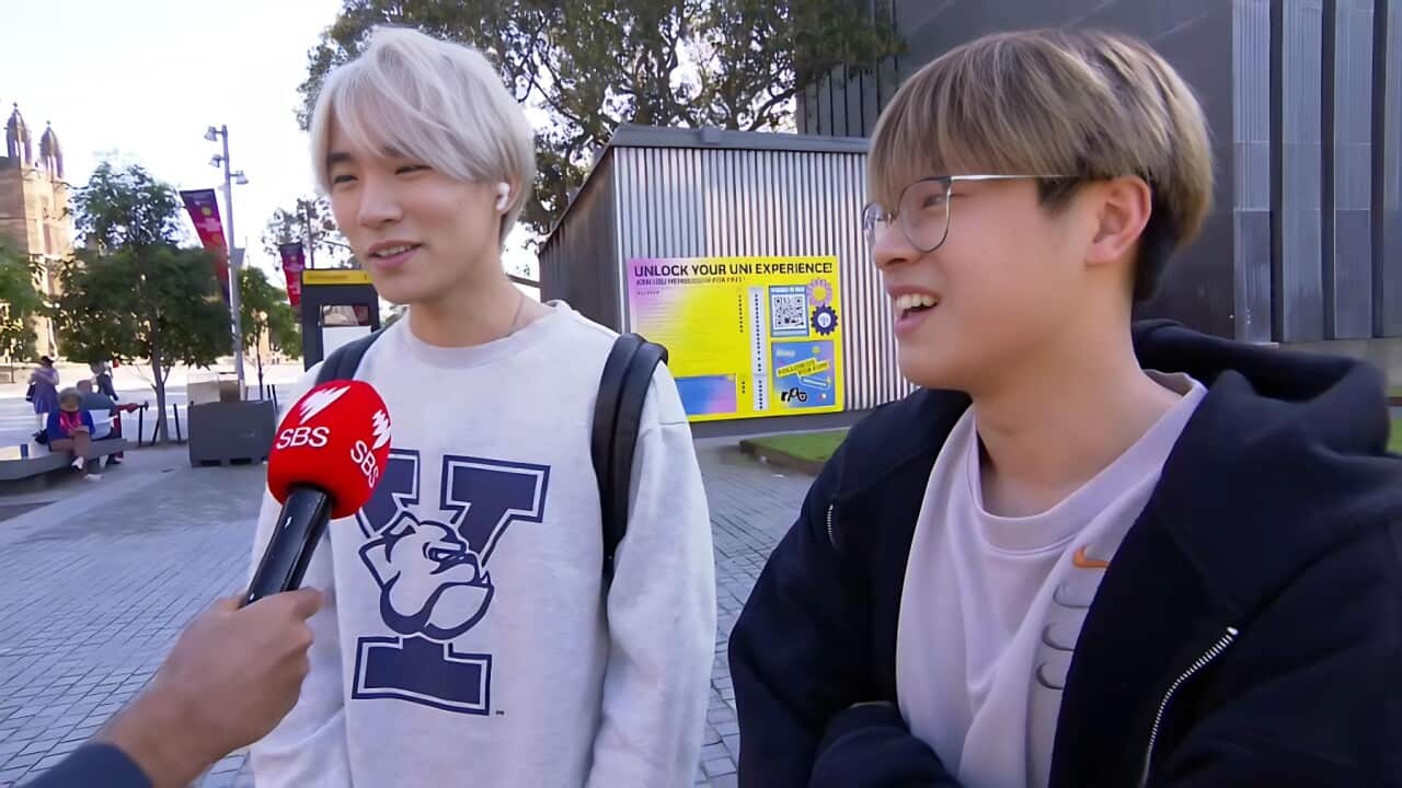 International students Eric and Alex talk to SBS (SBS).jpg