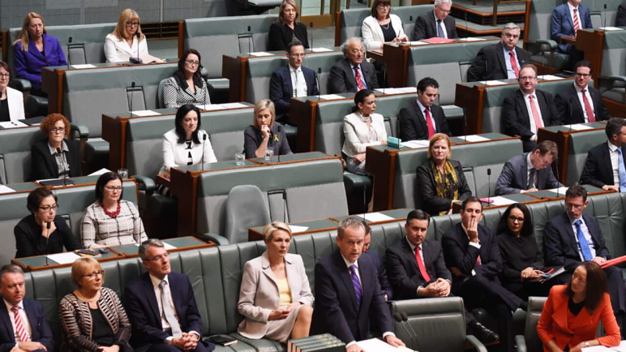 Opposition Leader Bill Shorten and Labor MPs