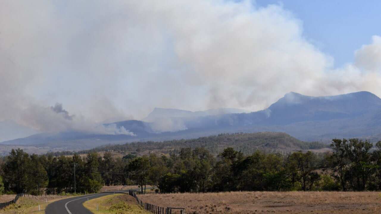 Fires are seen burning in the Main Range National Park near Tarome, south west of Brisbane, Thursday, 14 November, 2019.