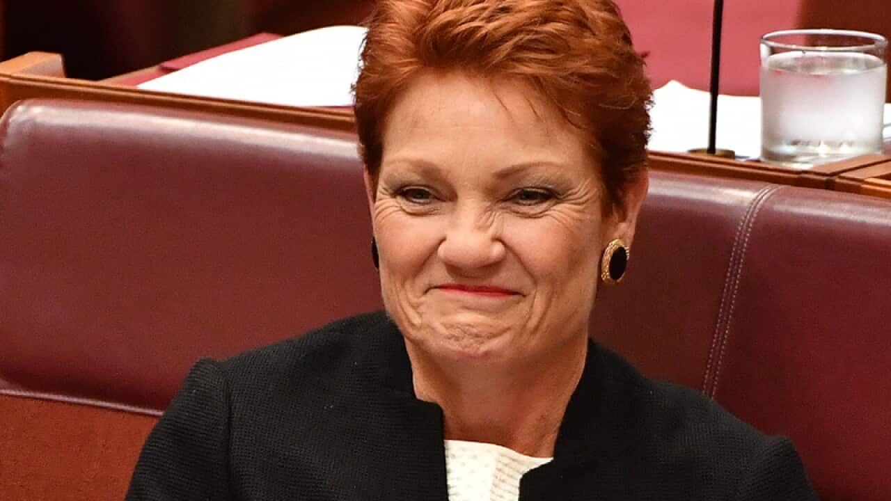 One Nation leader Senator Pauline Hanson
