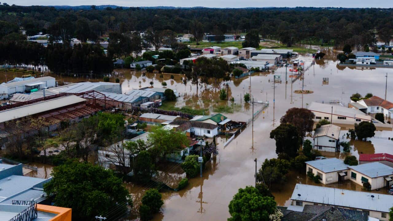 An aerial view Seymour hit by floodwaters, Saturday, October 15, 2022.