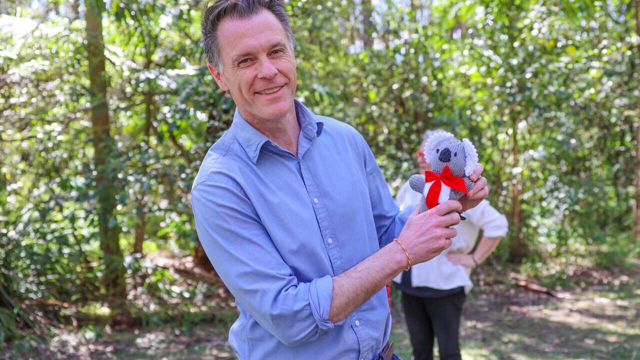 Image for read more article ''