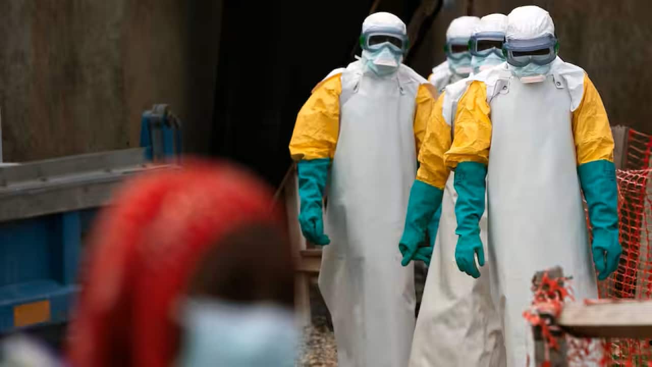 ebola.png