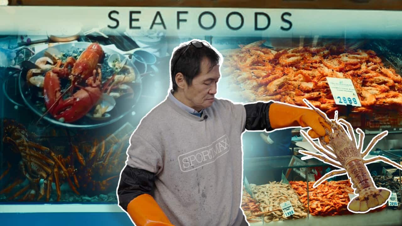 SEAFOOD THUMBNAIL CLEAN (2).jpg