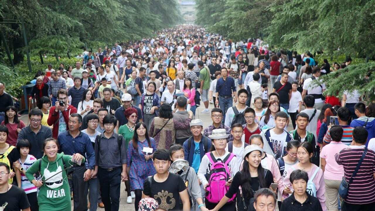 Image for read more article ''