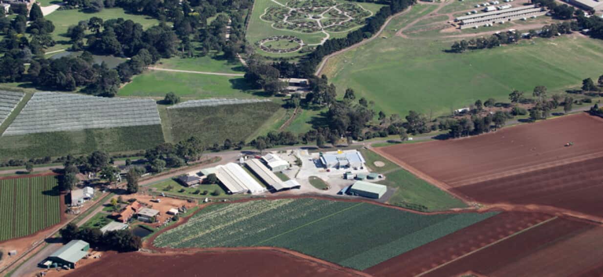 Avian flu fears prompt Australian farmers to ban visitors amid unprecedented threat