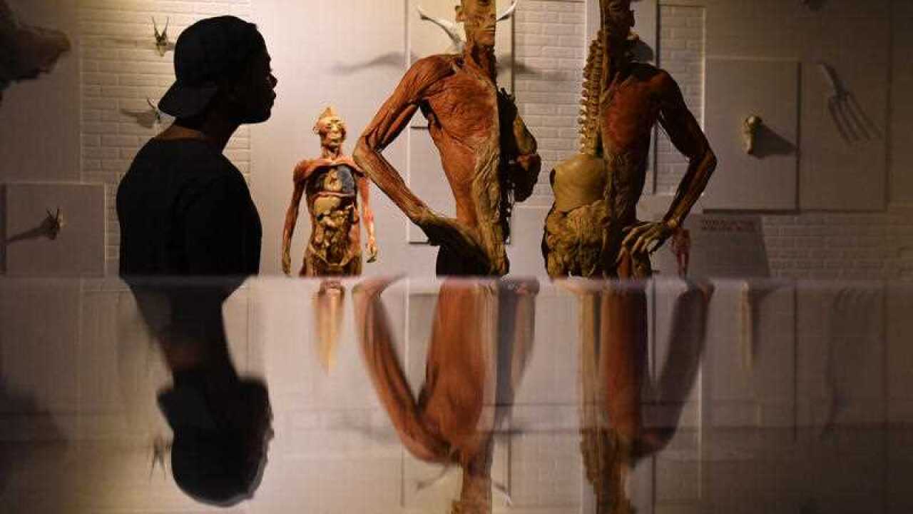 《數字大意義》之【人體數字密碼】第2集:650條肌肉。