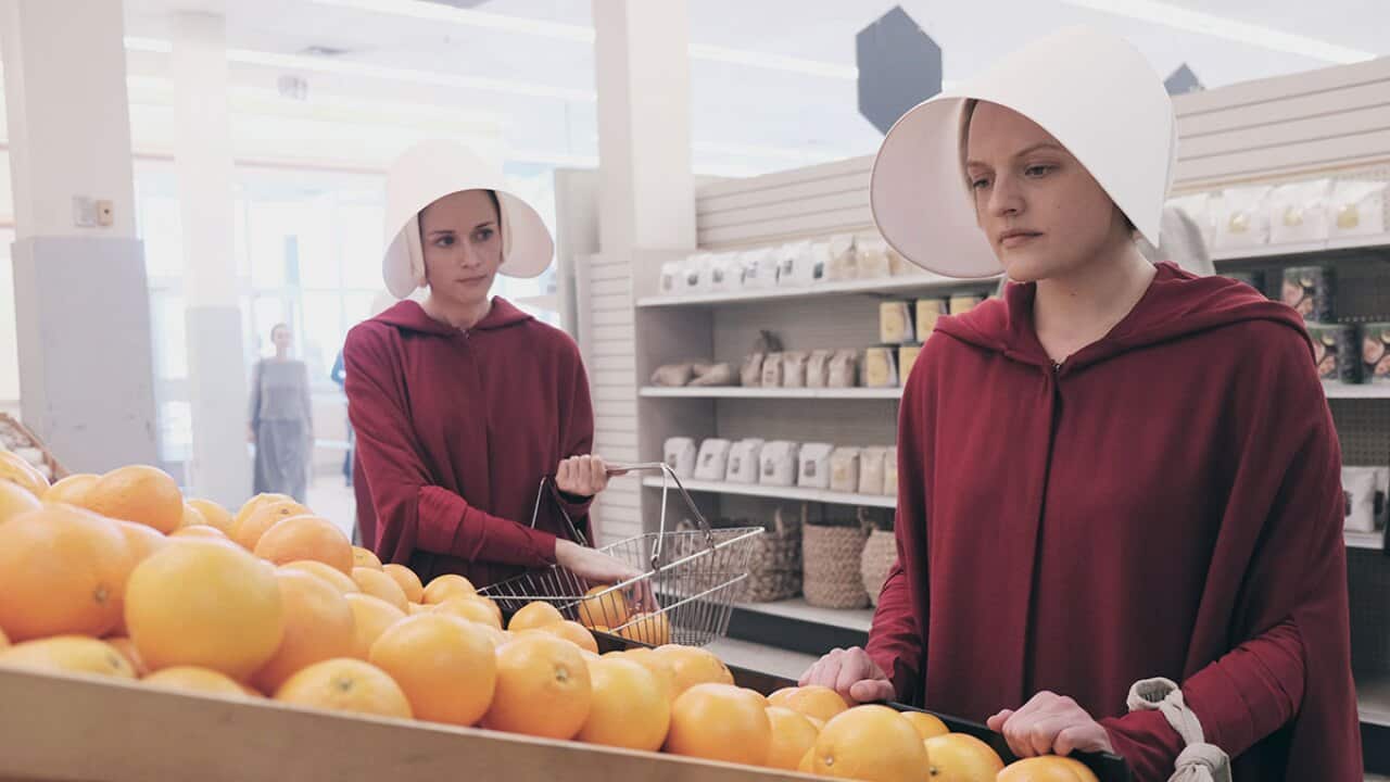 Handmaid's Tale fruit