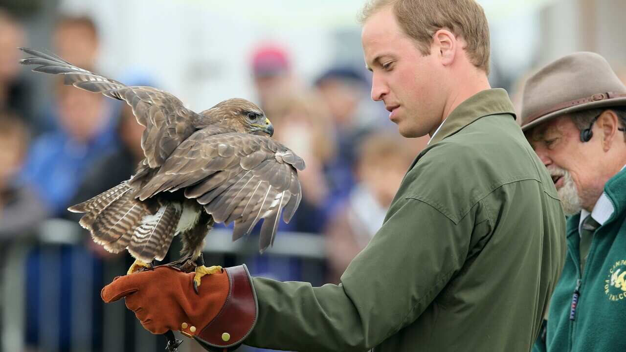 prince_william_bird_getty.jpg