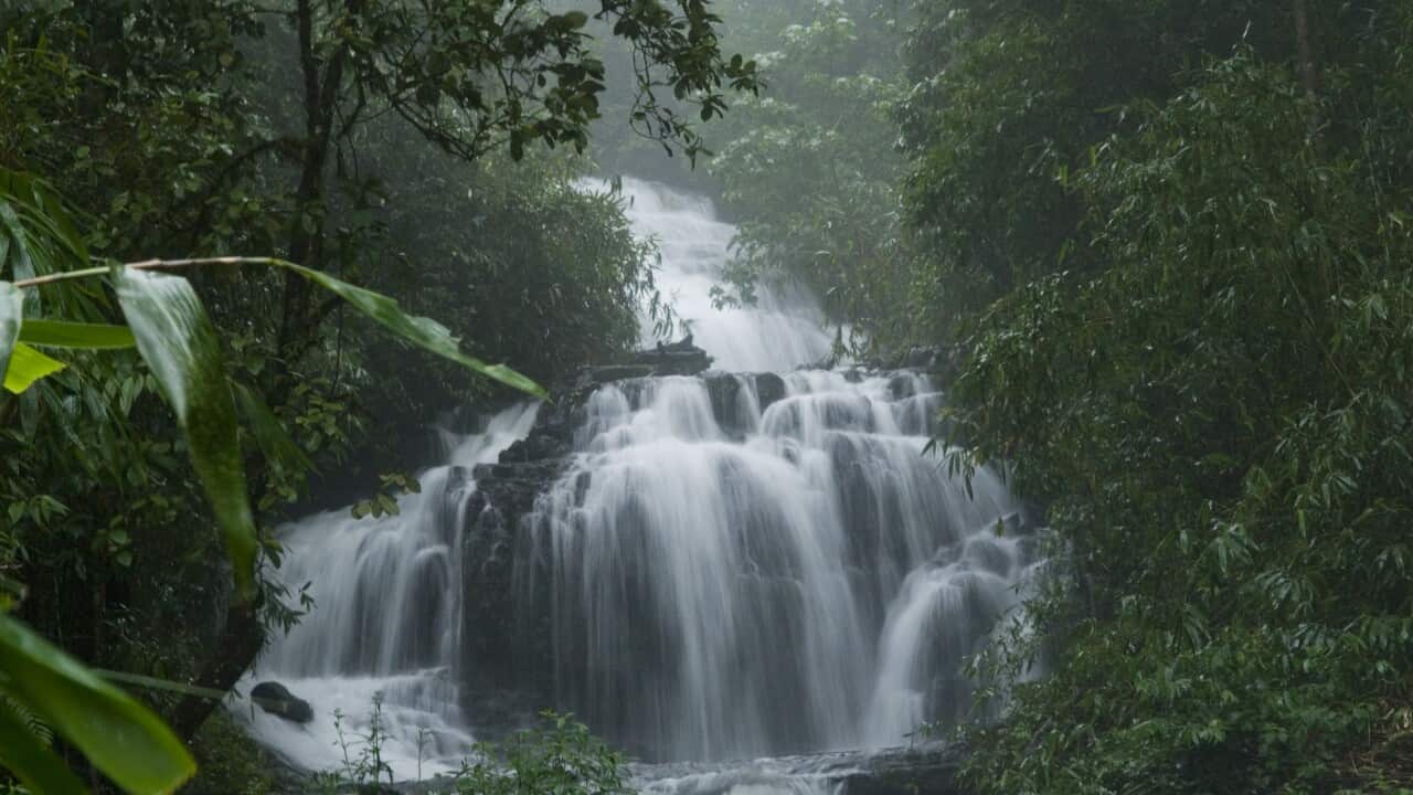 Gavi waterfalls- one of the many waterfalls in Kerala