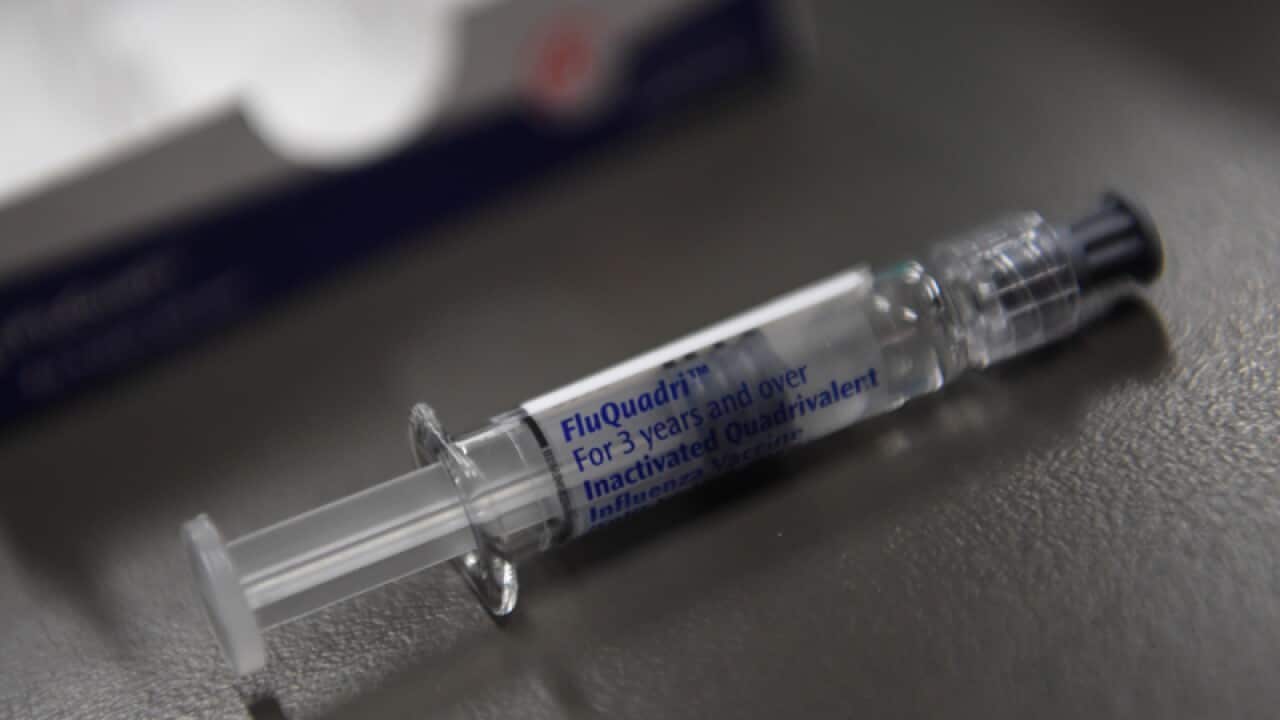 A flu immunisation needle