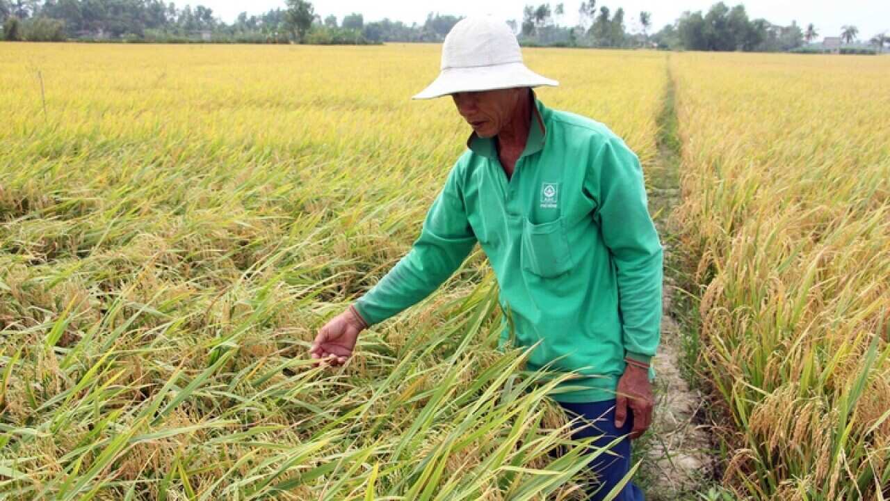 Image for read more article 'READ MORE'