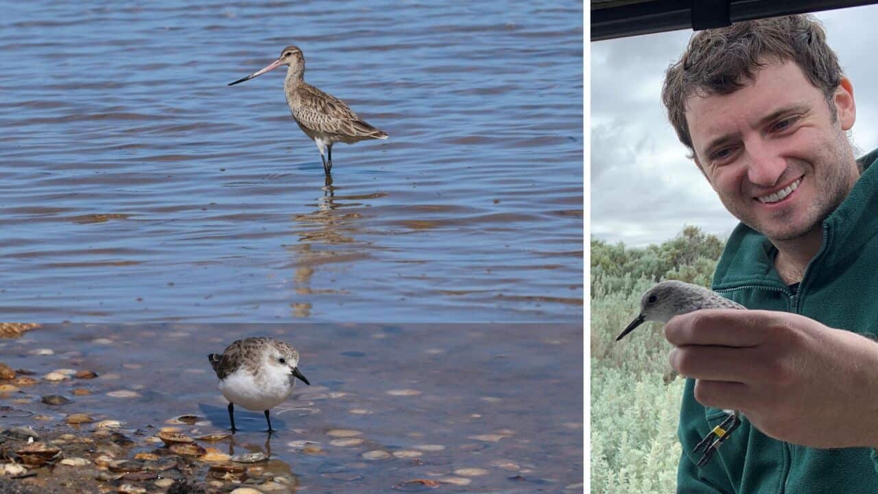 Image for read more article ''