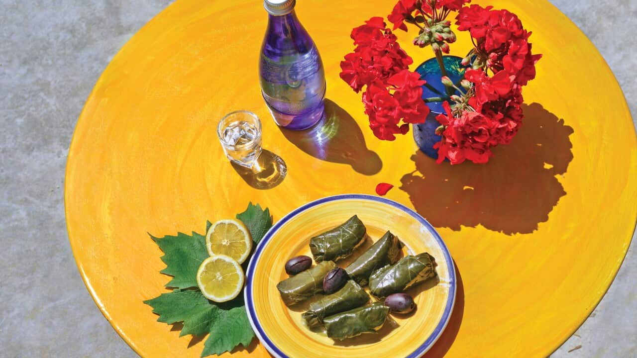 Food. Greece, Dolmades, olives and raki