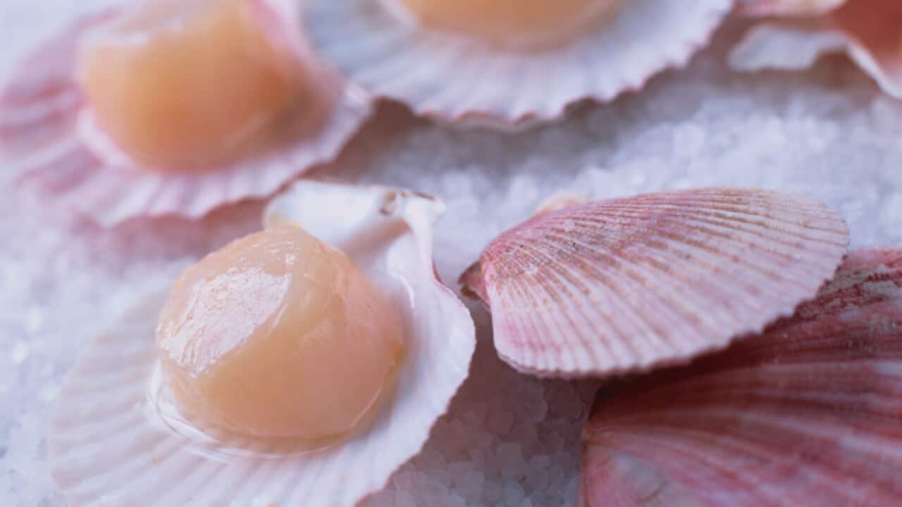 6244-000017_11_1158945205