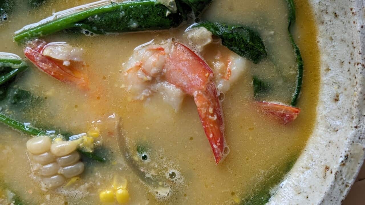 PXL_20240215_061513907_2 (1).jpg