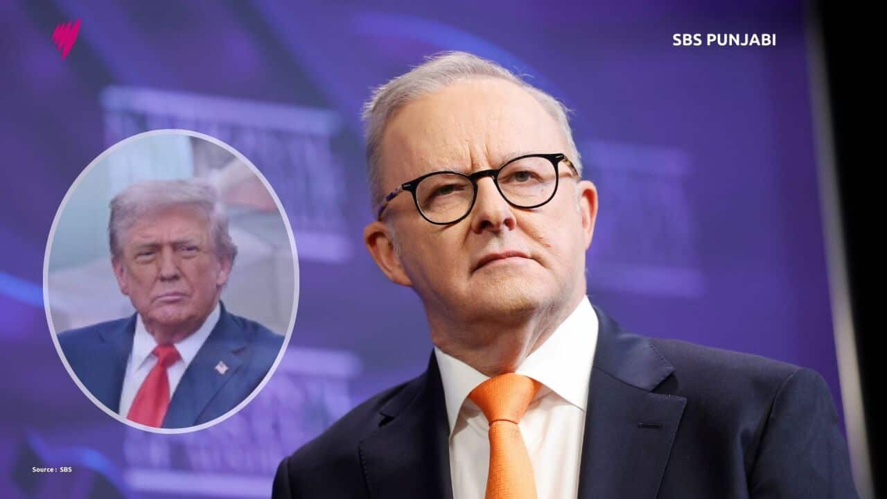 MP's 16x9 (Presentation) (2).jpg