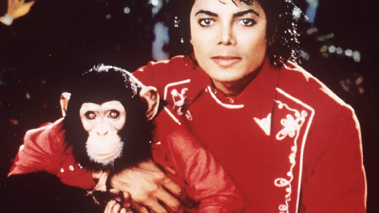 jackson_chimp_dog_2906_File_B_AP_1576246483