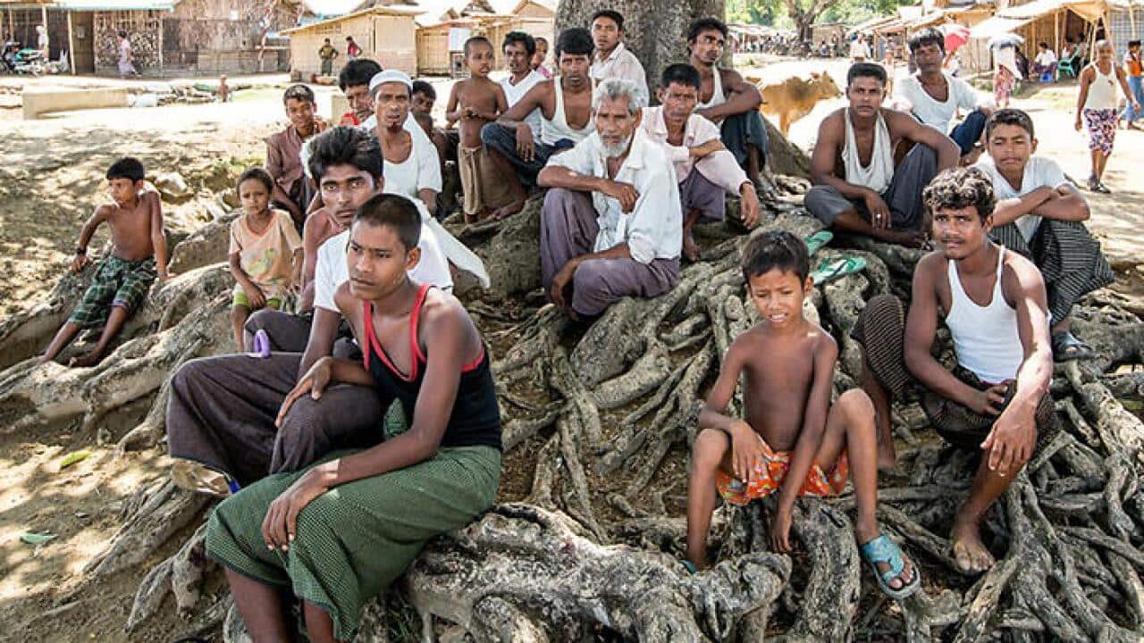 Rohingya