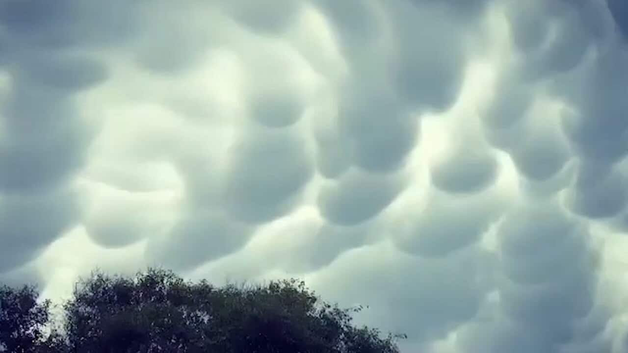 The mammatus clouds.
