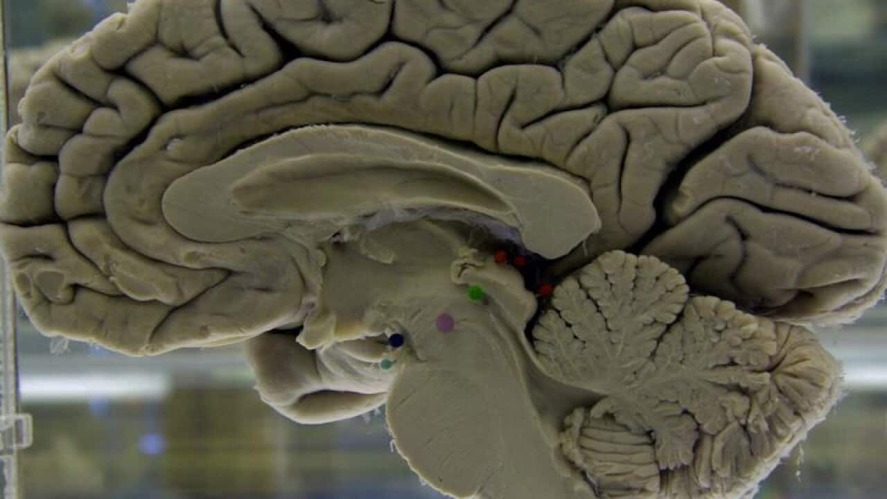 Brain health must be protected.