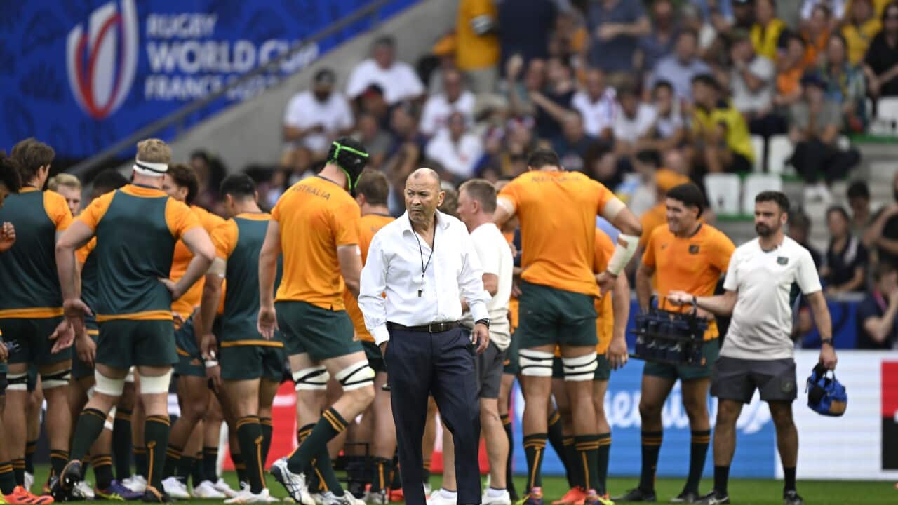 RWC AUSTRALIA FIJI