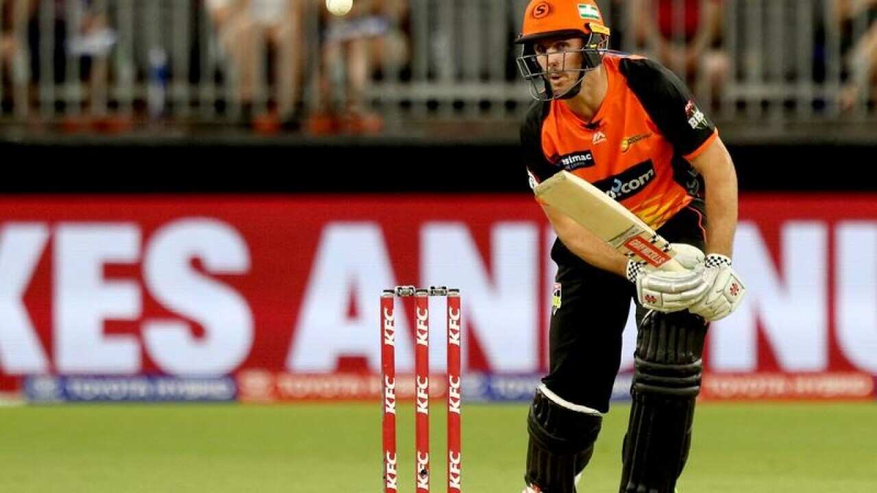 Mitch Marsh of the Scorchers.