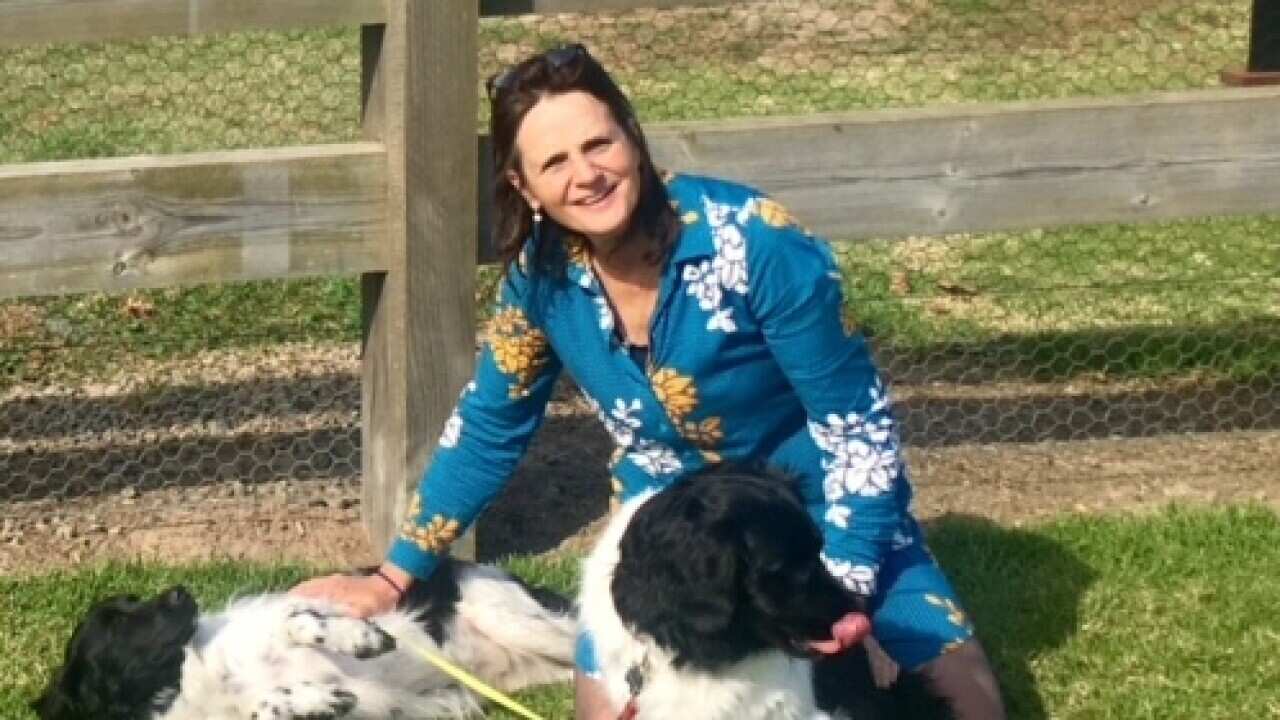 nicolien van vroonhoven oz cabinet aug 2018, the week of