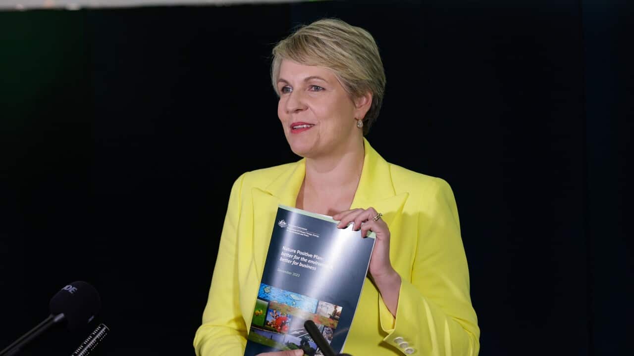 Tanya Plibersek announces the government’s response to the review of the Environment Protection and Biodiversity Conservation Act
