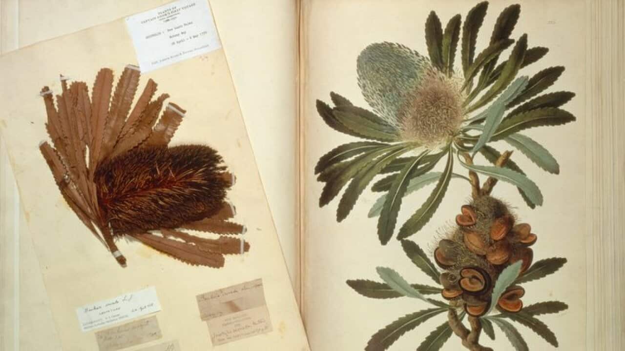 AAP Image/Mary Evans/Natural History Museum