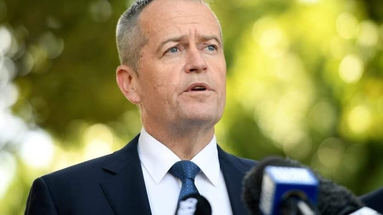 Labor leader Bill Shorten's business credentials have suffered after his tax roll-back back-flip.