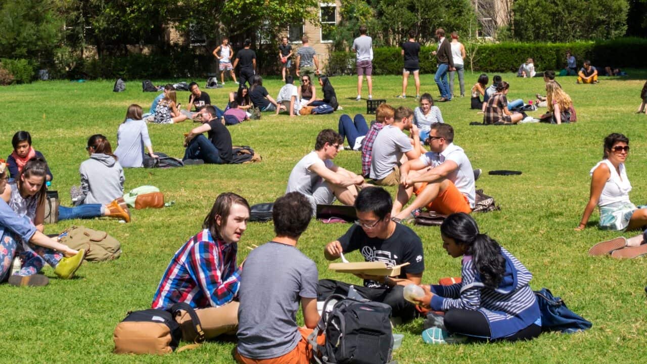 Image for read more article 'READ MORE'