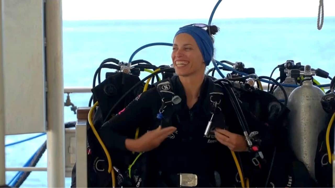 thumbnail_Dive leader Anais Maurer prepares to lead tourists underwater (AP).jpg