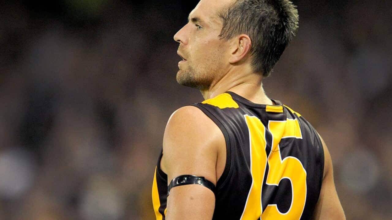 Hawthorn Hawks AFL captain Luke Hodge