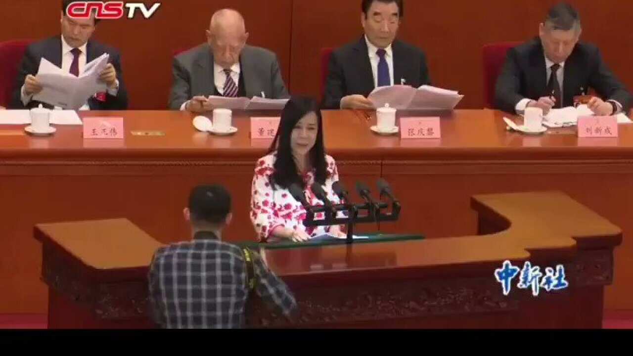 Ling You Shi Speaking at 14th National Committee of CPPCC