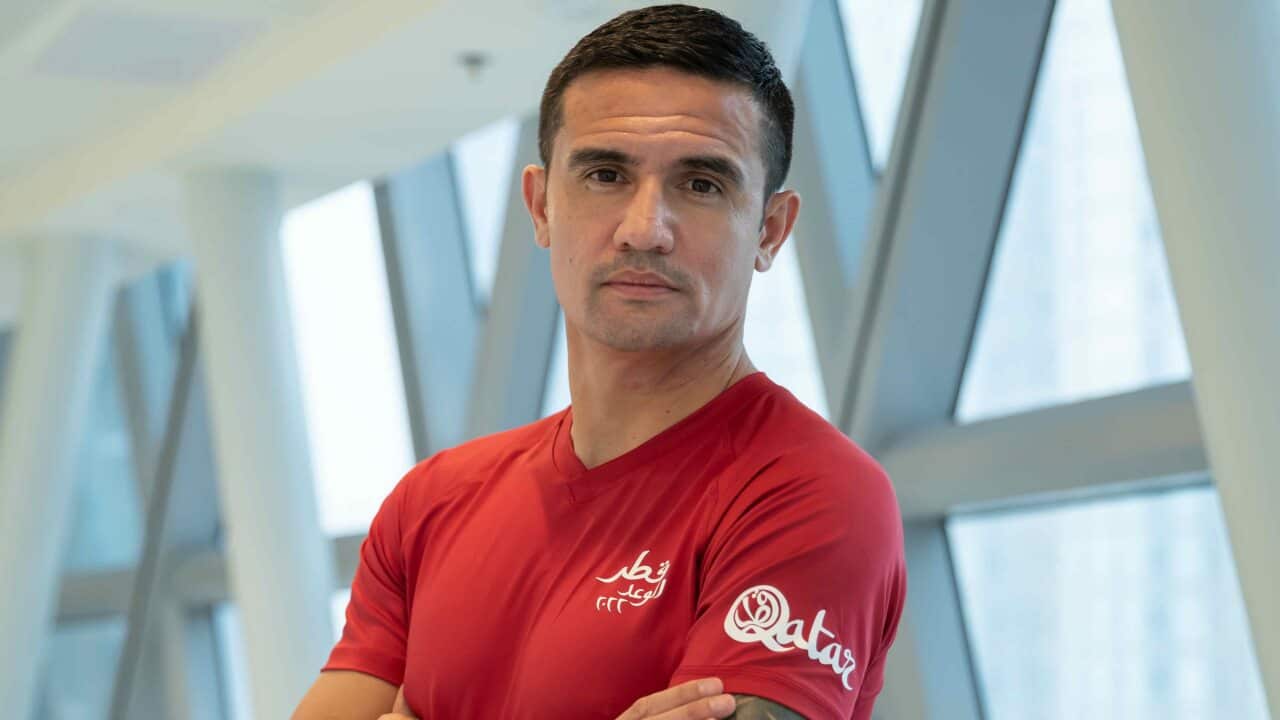 Tim Cahill