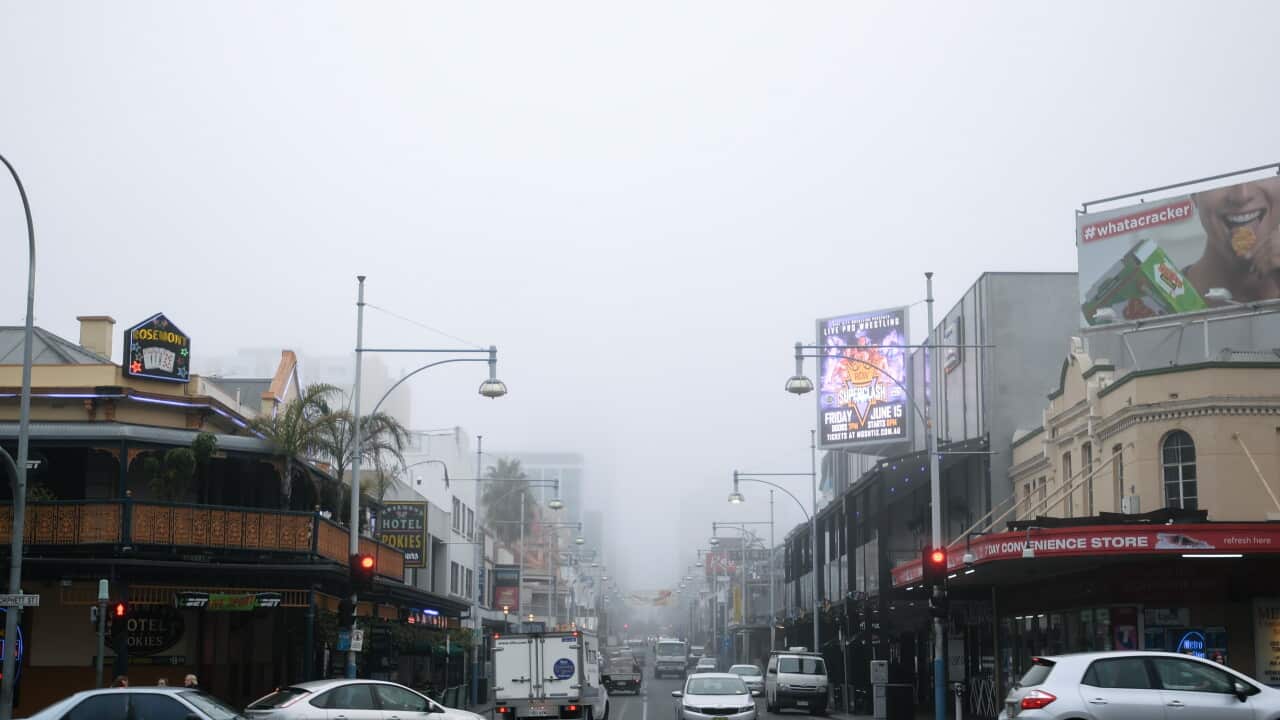 ADELAIDE FOG