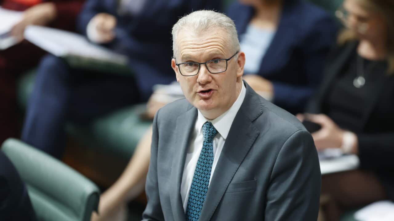 Tony Burke