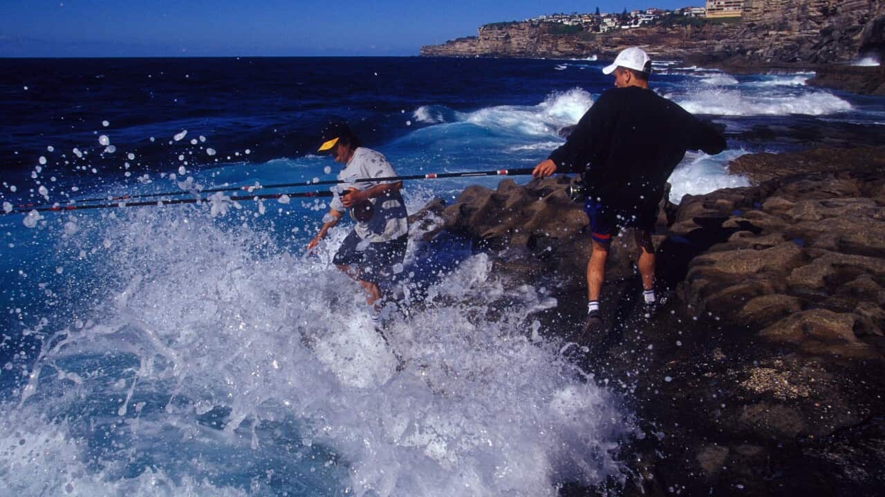 ROCK FISHING SYDNEY