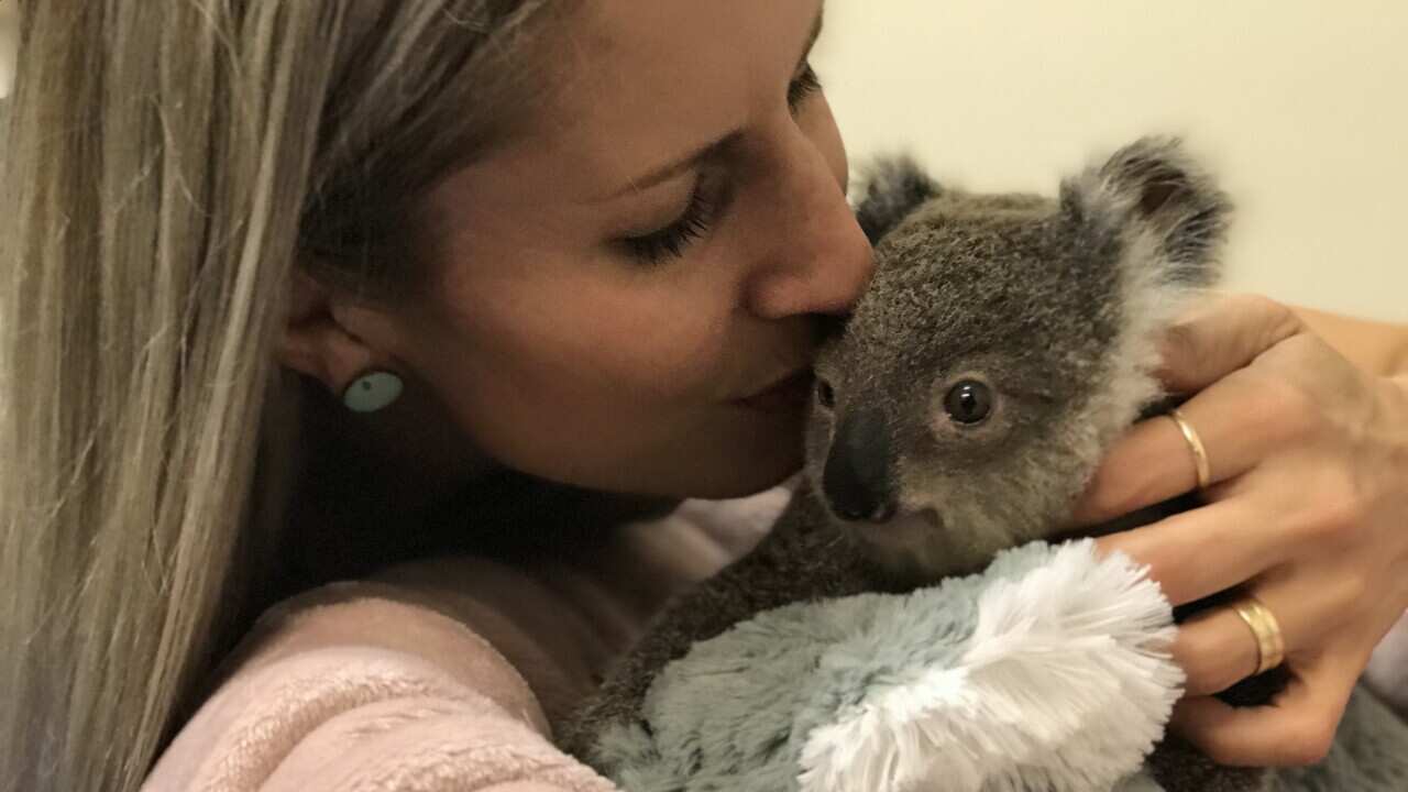 Koala expert Hayley Shute with Buddy the baby koala