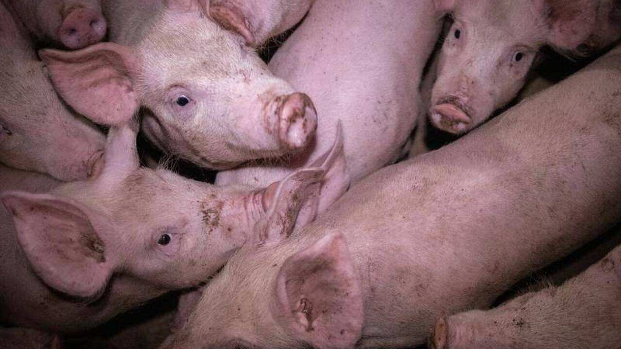 Image for read more article ''