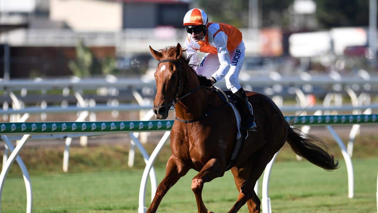 Image for read more article ''