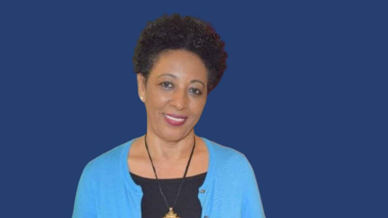 Dr Abebe Fekade II.jpg