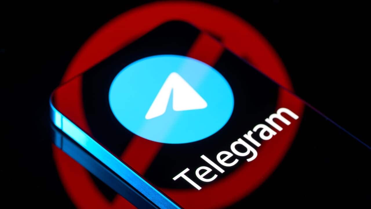 The Telegram logo is displayed on a smartphone screen in this photo illustration.jpg