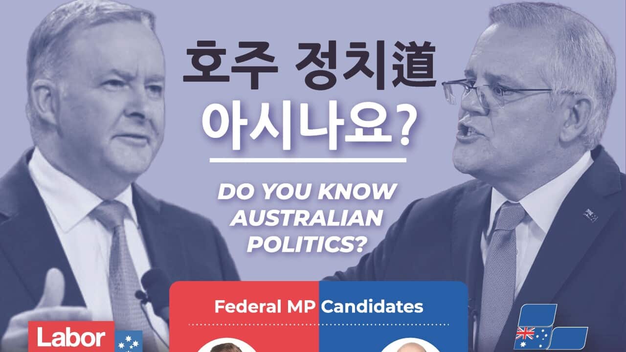 Image for read more article 'READ MORE'