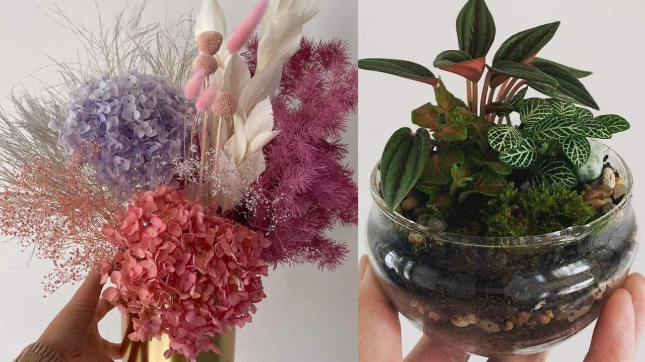 everlasting bouquet of dried and preserved flowers