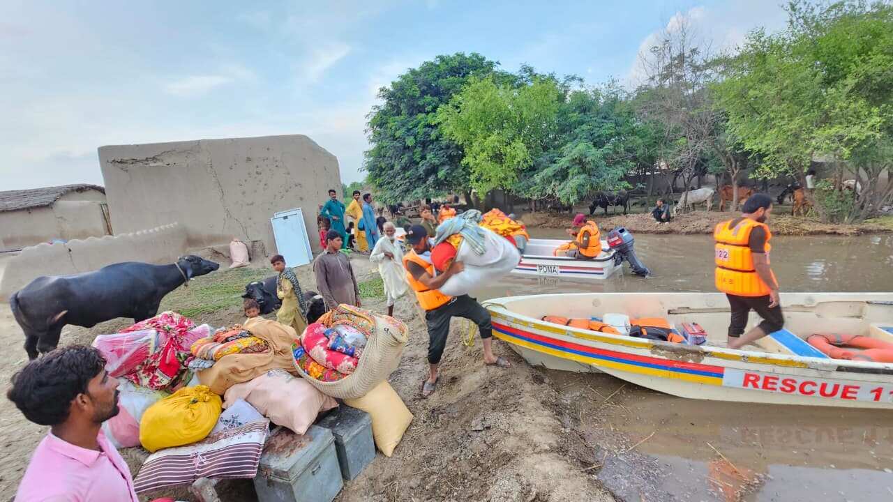 Image for read more article 'READ MORE'