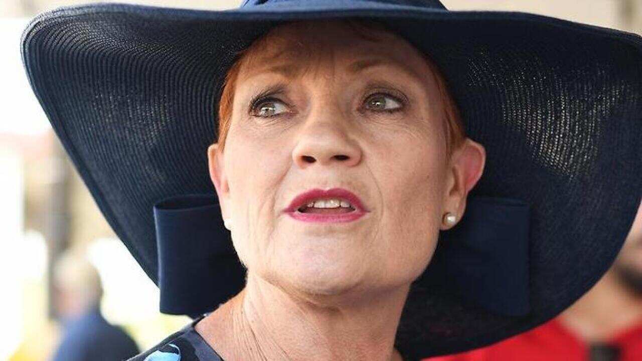One Nation leader Pauline Hanson says she's not eligible for British citizenship