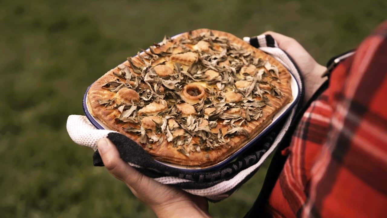 Wallaby pie with saltbush